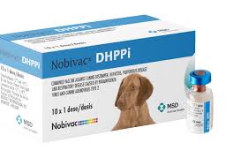 [ADS-0070] NOBIVAC DHPPIنوبيفاك تطعيم الكلاب الخماسي