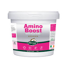 [LOC-00563] AMINO BOOST 3KGأمينو بوست