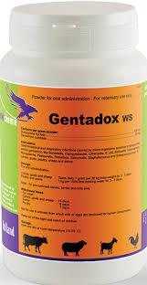 [LOC-00630] GENTADOX 1KGجينتادوكس
