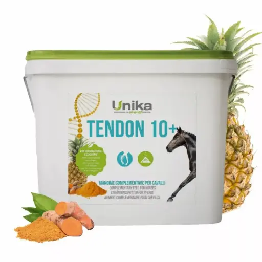 [UNK-0006] TENDON 10 4KGتيندون