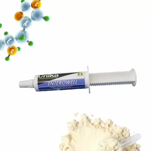 [UNK-0010] ENTEROWELL PASTEإنتيرويل