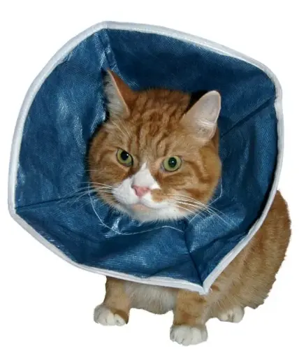 [SVT-0439] BUSTER Soft Collar, for cats & small dogsطوق