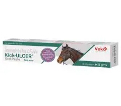 [LOC-00865] KICK-ULCER PASTE 6.15G