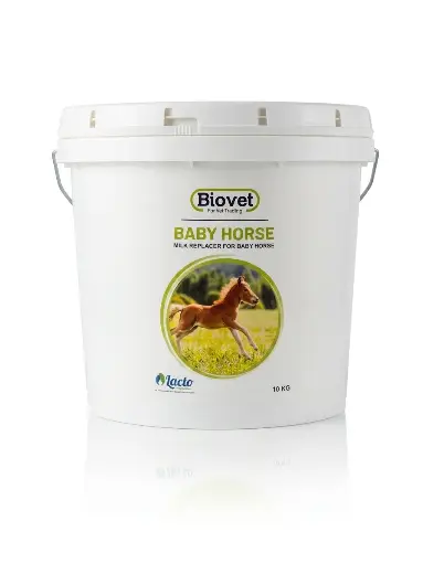 [LAF-0002] Baby Horse 10KG حليب الفلاوة  