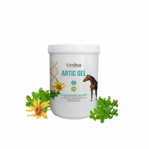 [UNK-0023] ARTIC GEL 500Gجل أرتيك 