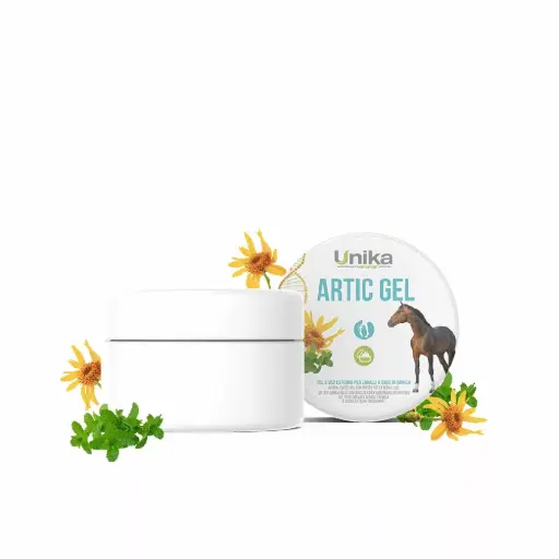 [UNK-0031] ARTIC GEL 100Gجل أرتيك  