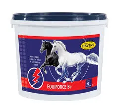 [LOC-02051] EQUIFORCE B+ 3KG(HAVENS) ايكوي فورس  