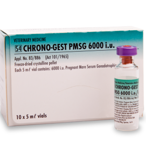 [1500000322] CHRONO-GEST PMSG 6000 I.U. 5ML كرونوجيست  